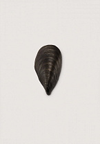 Shown in Bronze (IP44 Rated)