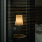 FN221020_64 Foscarini Birdie Easy TL L настольный светильник в минималистичном стиле красный кирпичный — фото 3