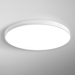 BS1114 AQForm BIG SIZE Накладной светильник