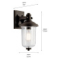 Harmont  12" 1 Light Wall Light with Clear Seeded Glass Olde Bronze уличный настенный светильник 59093OZ Kichler — фото 2