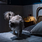 FN3260T000-68E00 Foscarini Fleur TL настольный светильник аккумуляторный бордовый — фото 6