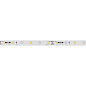 025009 Arlight Лента RT-20000 24V White6000 (3528, 60 LED/m, 20m) — фото 2
