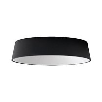 Wastberg Focal R