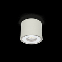 Clic Top LED 4K 5W Light Grey Phase cut AC DIRECT