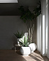 252015 Outdoor 101 Copenhagen кашпо, береза — фото 4