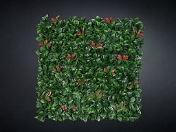 PHOTINIA Растительная рамка VGnewtrend