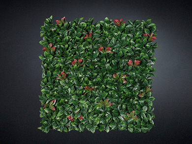 PHOTINIA Растительная рамка VGnewtrend