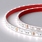 Светодиодная лента Arlight герметичная RTW-PS-B60-12mm 5060 14,4 Вт/м 12 мм — фото 1