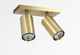 DEIMOS S2 Davidts lighting Deimos потолочный светильник с двумя цилиндрическими прожекторами на прямоугольном основании