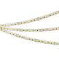048776 Arlight Лента RT-A240-8mm 24V Day-MIX (20 W/m, IP20, 5m) — фото 2