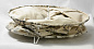 Торшер Lussole Cottonwood LSP-0503 — фото 1