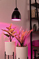 79763 Neordic Hilla Светильник подвесной Paulmann — фото 5