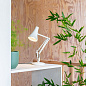 Настольная лампа Anglepoise 90 Mini Mini Белый жасмин 33138 — фото 1