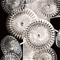 884650 Chrysanthemums 29" Sconce бра, Fine Art Lamps