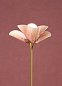 Торшер Blossom Lladro, на деревянном основании 01024356 — фото 3
