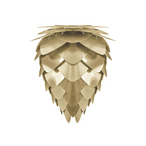 Conia Mini - Brushed Brass 30 x 36 cm