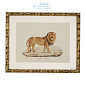 111745 Prints EC262 Lion, Tigre, Jaguar set of 6  Eichholtz