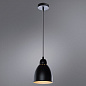 A2054SP-1BK Arte Lamp Braccio подвесной светильник E27 1х60W 800Lm — фото 1