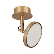 Asteria Spot - Plated Brass  Ø 60 x 21 cm
