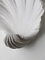Настенный светильник Scallop Shell Porta Romana TWL52 — фото 6