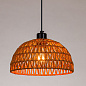 A7086SP-1BK Arte Lamp BRUSHWOOD подвесной светильник 60W — фото 1