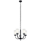 Kennewick 5 Light Chandelier Black люстра 52386BK Kichler — фото 5