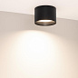 055010 Arlight Светильник SP-BISCOTTO-R120-12W Warm3300-MIX (BK, 80 deg, 230V) — фото 3