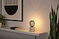 29261 Paulmann LED Globe 160 лм 4 Вт 1800 К с регулировкой яркости, черный — фото 2