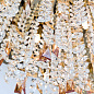 DLU 2517/120x45 gold Crystalriver Orion хрустальный потолочный светильник — фото 4
