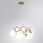 A9712LM-6SG Arte Lamp Camomilla подвесная люстра E14 6х40W — фото 1
