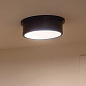 Serca 18" 3 Light Flush Mount Black потолочный светильник 52541BK Kichler — фото 2