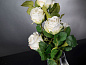 ETERNITY MINIMES ROSE Искусственное растение VGnewtrend — фото 1