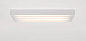 United 2x 28/54W GI накладной потолочный светильник Modular