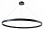 748057 Lightstar Saturno подвесной светильник 75W 5800lm 3000-6000K — фото 1