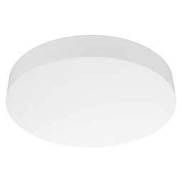 IM-FLOWER-EMERGENCY-3H-R410-32W Arlight Flower Аварийный накладной потолочный светильник