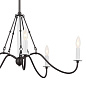 Freesia 5 Light Chandelier Anvil Iron with White Accents люстра 52455AVI Kichler