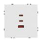 061839 Arlight Механизм розетки с быстрой USB зарядкой SCT-NOBE-MUACC-SFPL-FC-WH (65 Вт, QC3) — фото 3