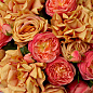 Искусственное растение Roses Eichholtz 119280 — фото 2