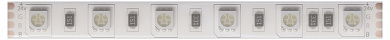 светодиодная лента влагозащитная IP65