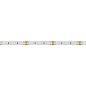 024431(2) Arlight Лента MICROLED-M120-8mm 24V Warm3000 (14 W/m, IP20, 2216, 5m) — фото 1