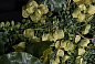 LOTUS LEAF WALL Растительная рамка VGnewtrend — фото 3