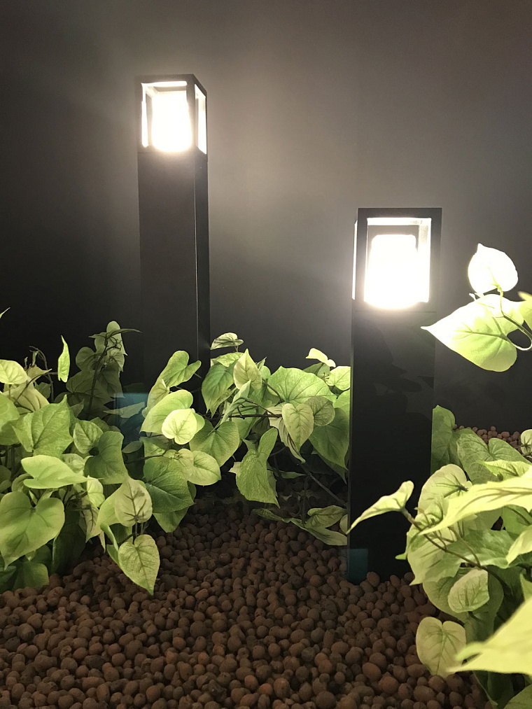 Maxima studio на празднике DELTA LIGHT — фото 42