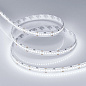 022648 Arlight Лента RT 2-5000 24V White6000 10mm (2835, 252 LED/m, LUX) — фото 3