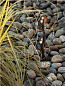 Уличный светильник Lombardo CNC Oval Garden 100 — фото 2