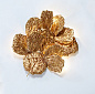 Настенный светильник SERIP Pathleaf Heap — фото 2