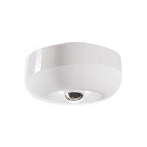 Bellota C2542