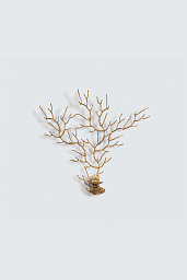 CORAL-SEA-FAN Serip Coral Настенный светильник