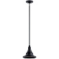 Hampshire 13.25" 1 Light Pendant/Semi Flush Textured Black уличный подвесной светильник 59057BKT Kichler — фото 2