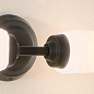 Truby 19.75" 2 Light Vanity Light Black настенный светильник 55074BK Kichler