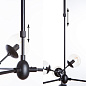 A1664SP-12BK Arte Lamp 1664 люстра на штанге E14 12х40W — фото 4